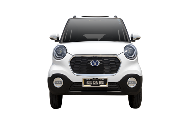 Shandong Fu Sheng Long new energy electric car